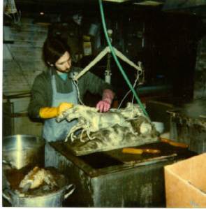 international silver plating, glencoe illinois