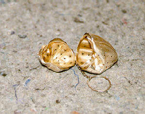 international silver plating, glencoe illinois