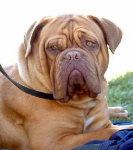 international silver plating, glencoe illinois