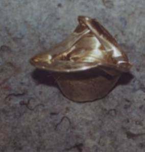 international silver plating, glencoe illinois