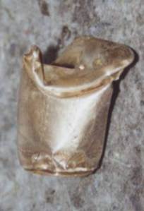 international silver plating, glencoe illinois